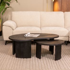 Coffee Table Set Timon 100x58x40 cm