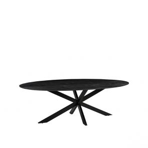 Dining Table James 210x100x76 cm