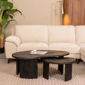 Coffee Table Set Timon 100x58x40 cm